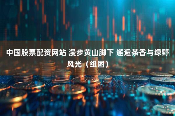 中国股票配资网站 漫步黄山脚下 邂逅茶香与绿野风光（组图）
